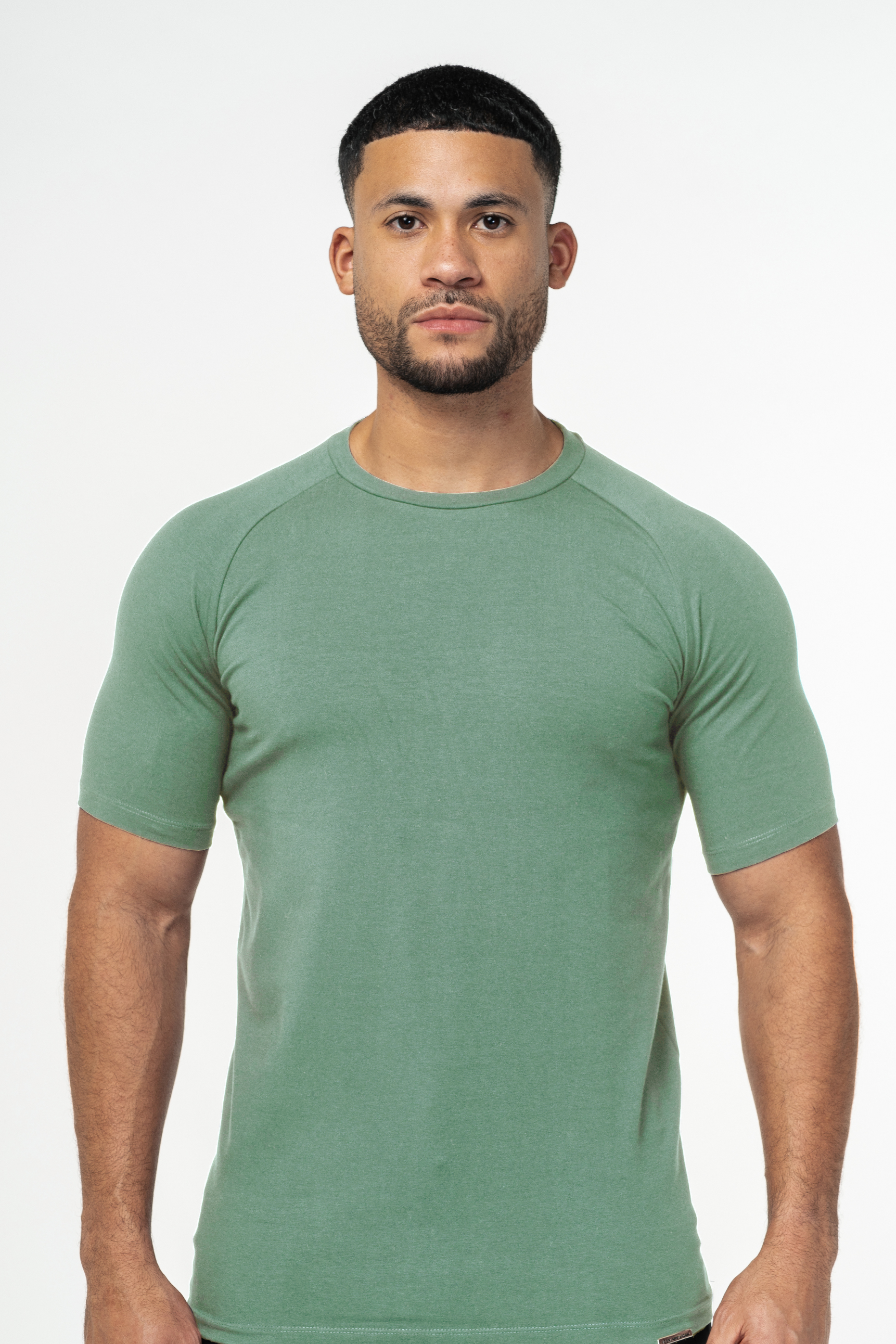 #color_Iceberg Green