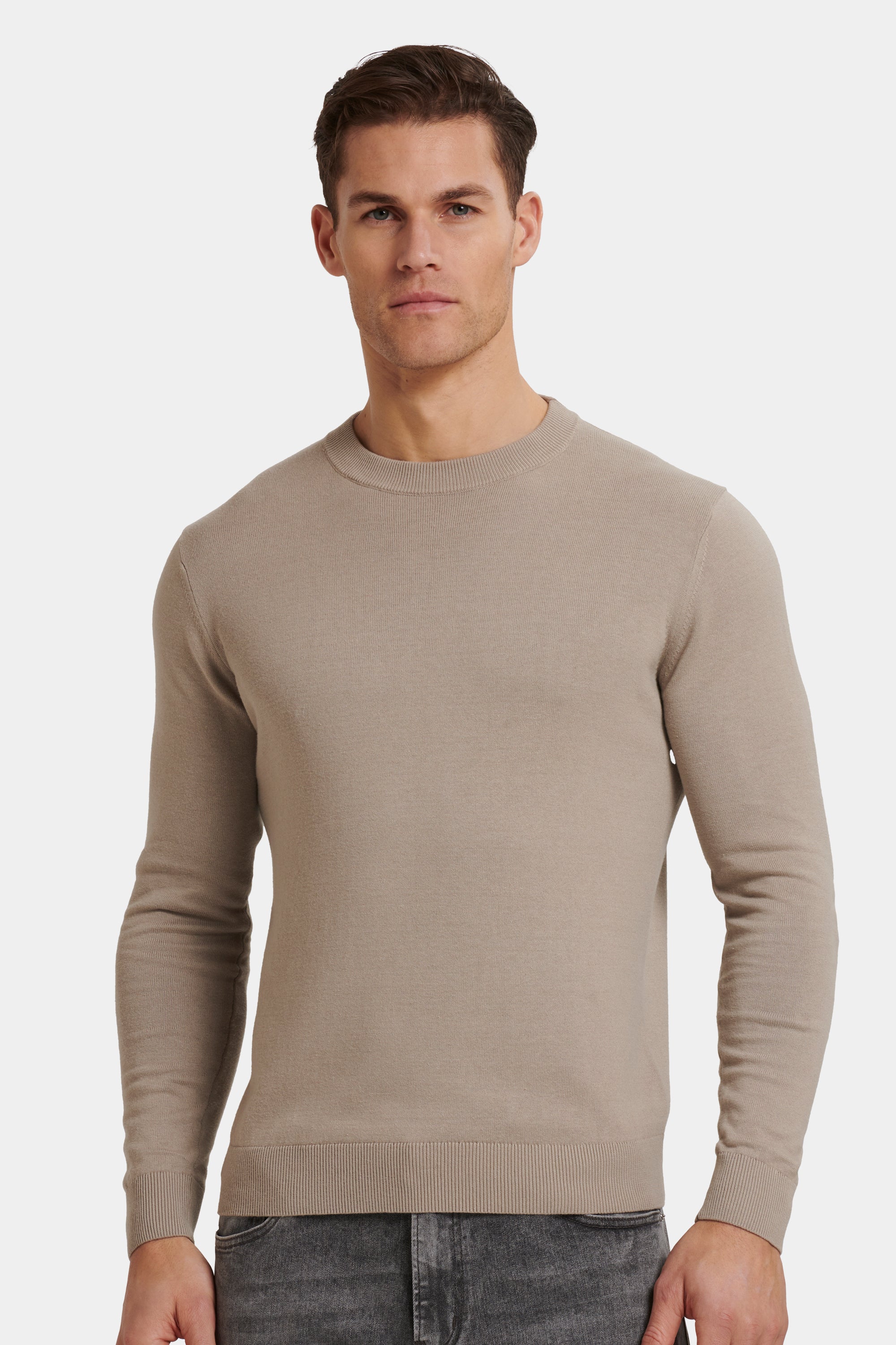 THE SANTONI CREWNECK SWEATER | ICON